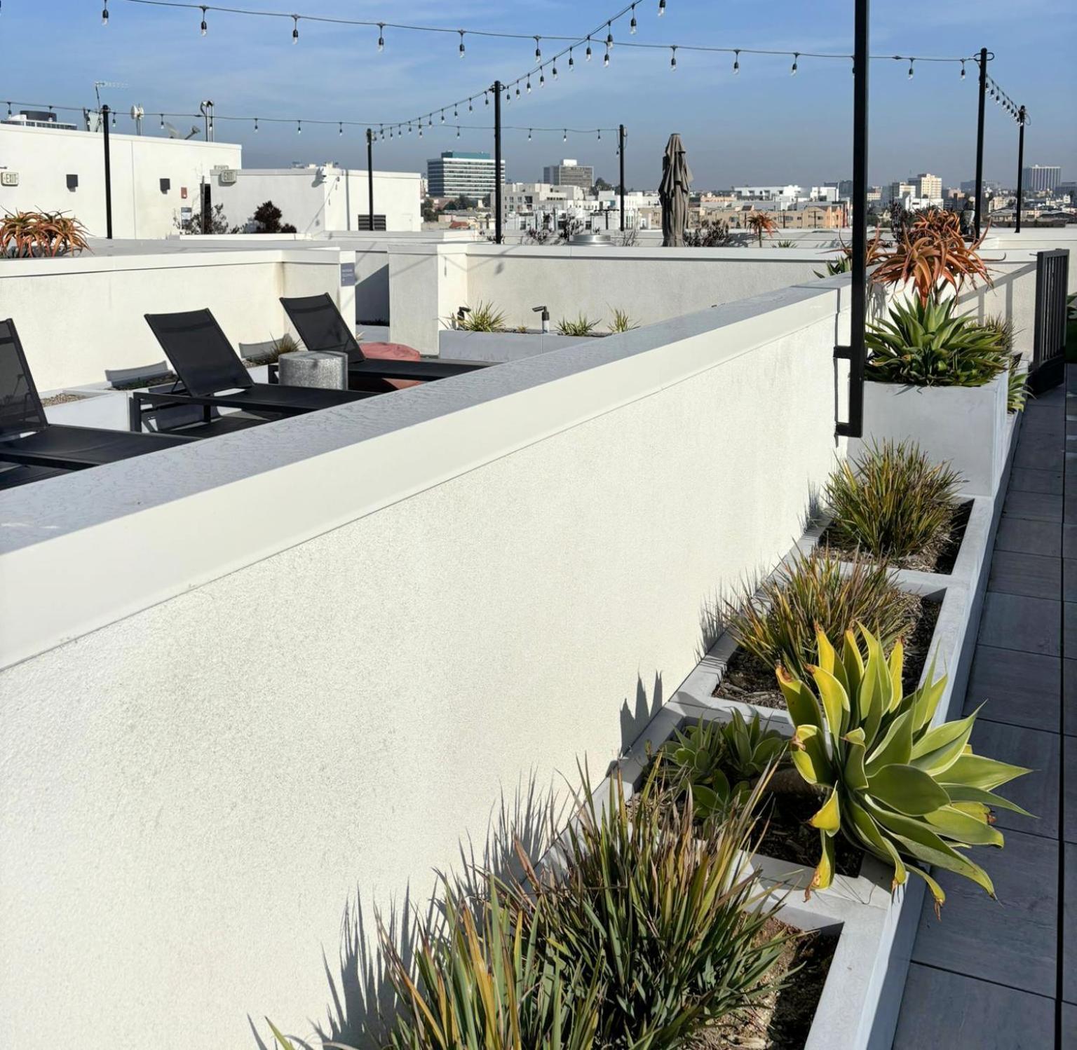 Dream Escape With Great Rooftop Views ロサンゼルス エクステリア 写真
