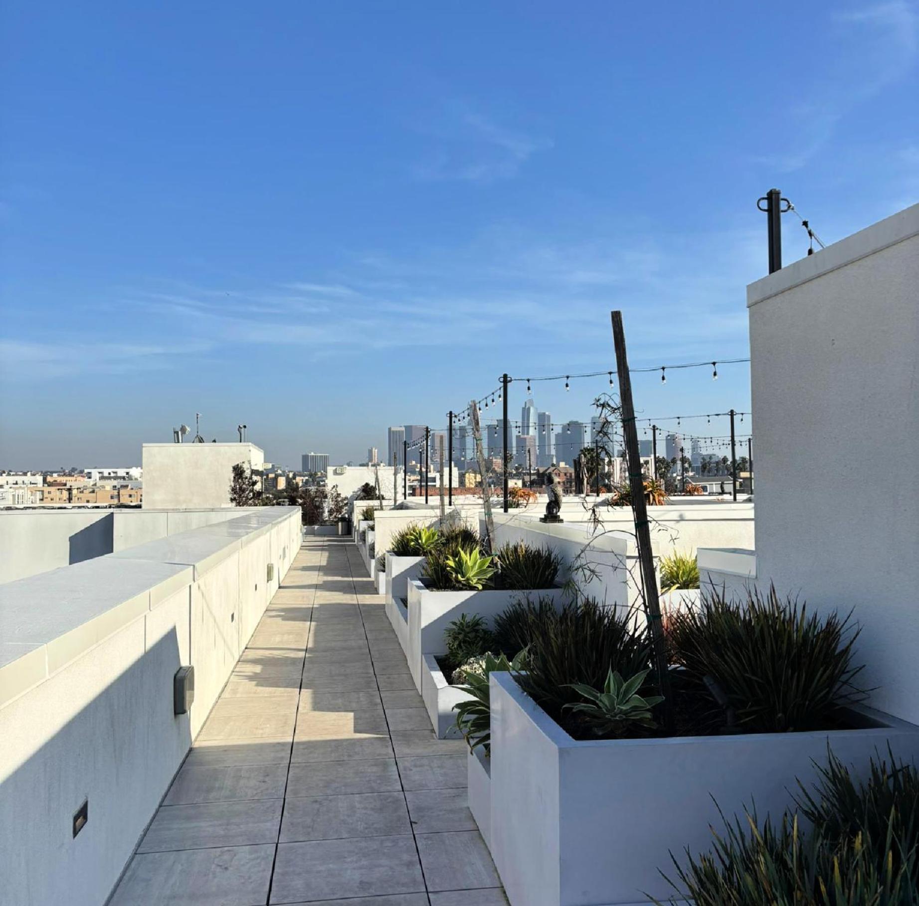 Dream Escape With Great Rooftop Views ロサンゼルス エクステリア 写真